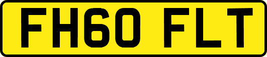 FH60FLT