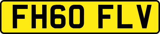 FH60FLV