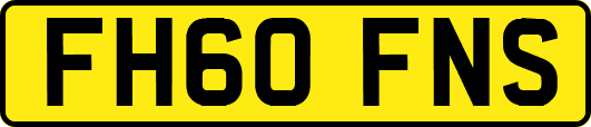 FH60FNS