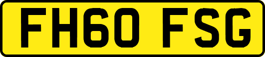 FH60FSG