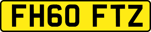 FH60FTZ
