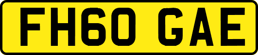 FH60GAE