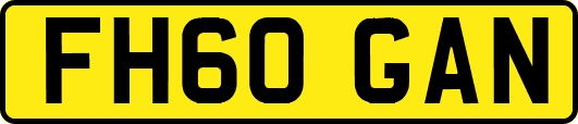 FH60GAN