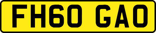FH60GAO