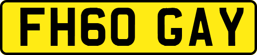 FH60GAY
