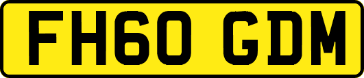 FH60GDM