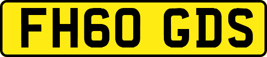 FH60GDS
