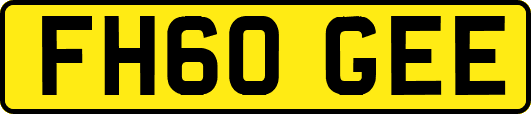 FH60GEE