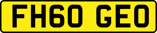 FH60GEO