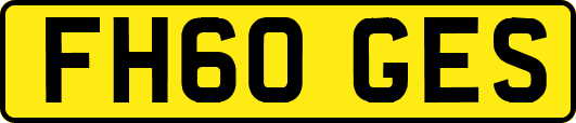 FH60GES