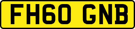 FH60GNB