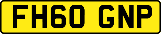 FH60GNP