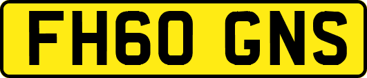 FH60GNS