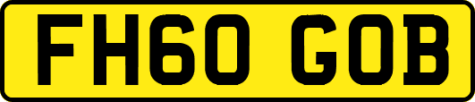 FH60GOB