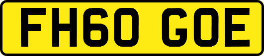 FH60GOE