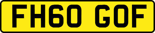 FH60GOF