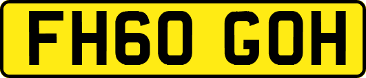 FH60GOH