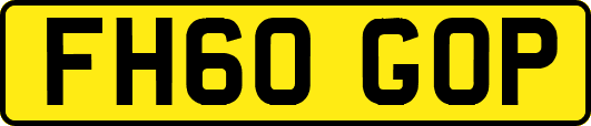 FH60GOP