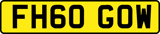 FH60GOW