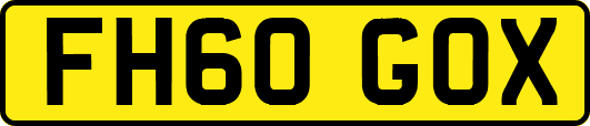 FH60GOX