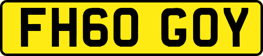 FH60GOY