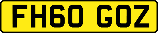 FH60GOZ