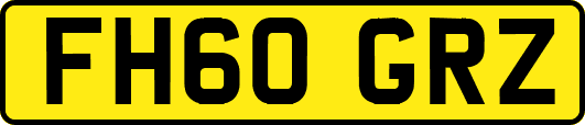 FH60GRZ