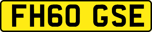 FH60GSE