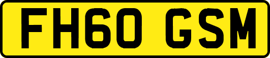 FH60GSM