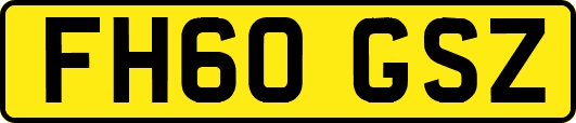 FH60GSZ