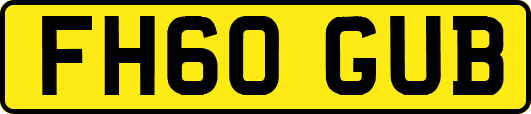 FH60GUB