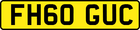 FH60GUC