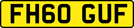 FH60GUF