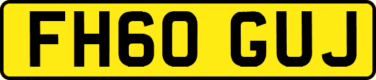 FH60GUJ