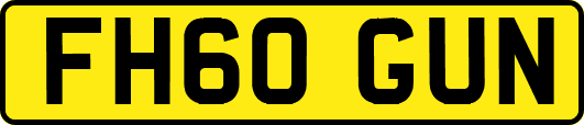 FH60GUN
