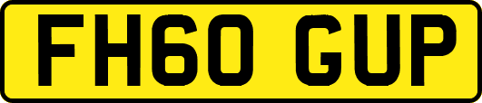 FH60GUP