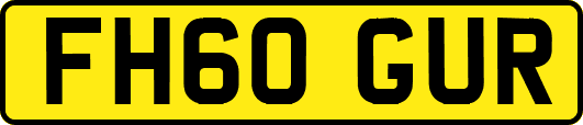 FH60GUR