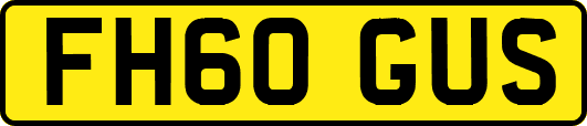 FH60GUS