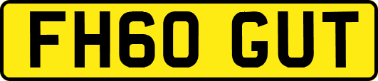 FH60GUT