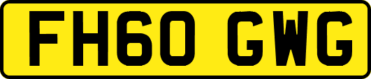 FH60GWG