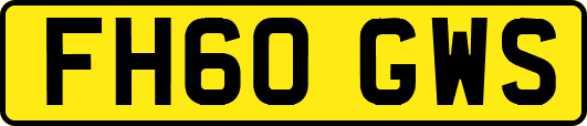 FH60GWS