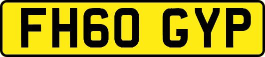 FH60GYP