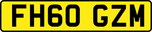FH60GZM