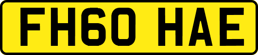 FH60HAE