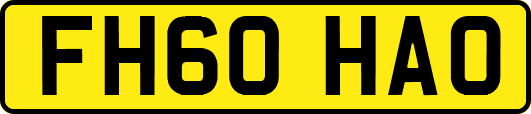 FH60HAO