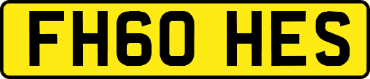 FH60HES