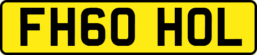 FH60HOL