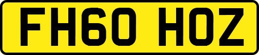 FH60HOZ