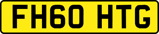 FH60HTG