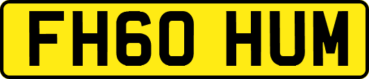 FH60HUM